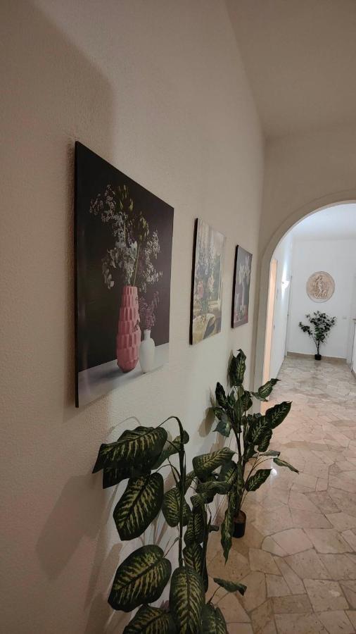 Etnea Glamour House Katanya Dış mekan fotoğraf